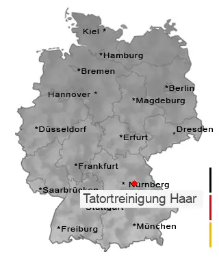 Tatortreinigung Haar