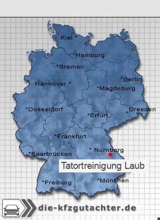 Tatortreinigung Laub
