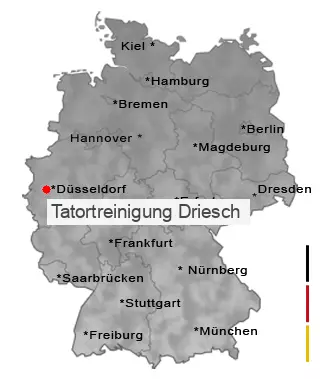 Tatortreinigung Driesch