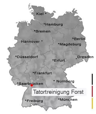Tatortreinigung Forst