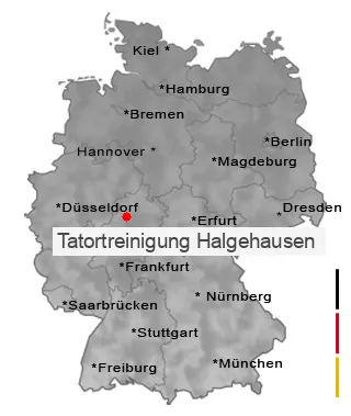 Tatortreinigung Halgehausen