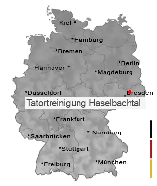 Tatortreinigung Haselbachtal