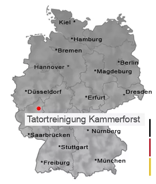 Tatortreinigung Kammerforst