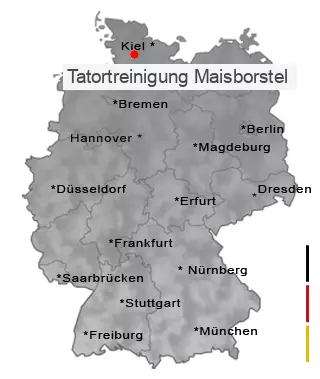 Tatortreinigung Maisborstel