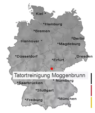 Tatortreinigung Moggenbrunn