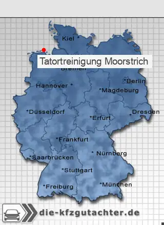 Tatortreinigung Moorstrich