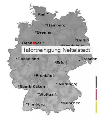 Tatortreinigung Nettelstedt