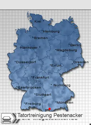 Tatortreinigung Pestenacker