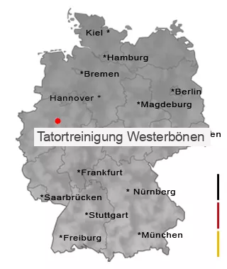 Tatortreinigung Westerbönen